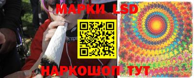 дживик Аргун
